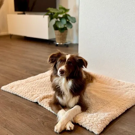 Louisa's Gallery - Modernes Mit Whirlpool Und Bergblick - Nahe Piste, Loipe Und Wanderparadies Im Toggenburg Apartament