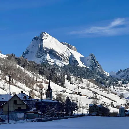 Louisa's Gallery - Modernes Mit Whirlpool Und Bergblick - Nahe Piste, Loipe Und Wanderparadies Im Toggenburg * Alt St. Johann