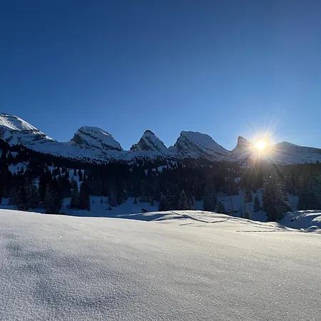 Apartmán Louisa's Gallery - Whirlpool - Berge & Wandern - Abendruhe - Familien- & Gruppenfreundlich - 1h Von Zuerich