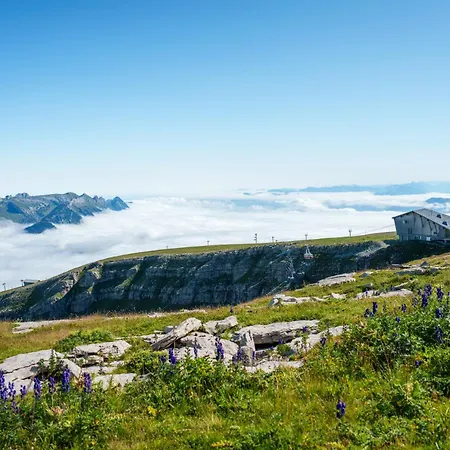 Louisa's Gallery - Whirlpool - Berge & Wandern - Abendruhe - Familien- & Gruppenfreundlich - 1h Von Zuerich *