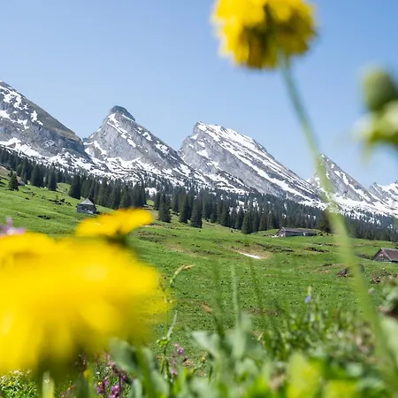 アパート Louisa's Gallery - Whirlpool - Berge & Wandern - Abendruhe - Familien- & Gruppenfreundlich - 1h Von Zuerich Alt St. Johann