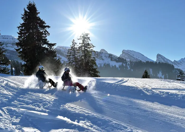 Louisa's Gallery - Stilvolles Ruhiges Alpine Mit Whirlpool & Bergblick - Wandern & - Swiss Alps * Alt St. Johann