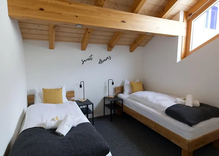 Louisa's Gallery - Modernes Mit Whirlpool Und Bergblick - Nahe Piste, Loipe Und Wanderparadies Im Toggenburg * Alt St. Johann