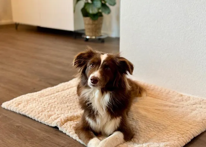 Louisa's Gallery - Stilvolles Ruhiges Alpine Mit Whirlpool & Bergblick - Wandern & - Swiss Alps Lägenhet