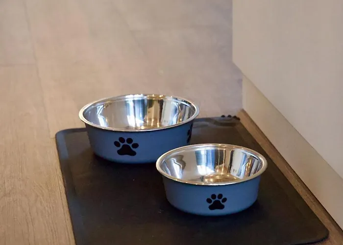 Appartement Louisa's Gallery - Modernes Mit Whirlpool Und Bergblick - Nahe Piste, Loipe Und Wanderparadies Im Toggenburg Alt St. Johann