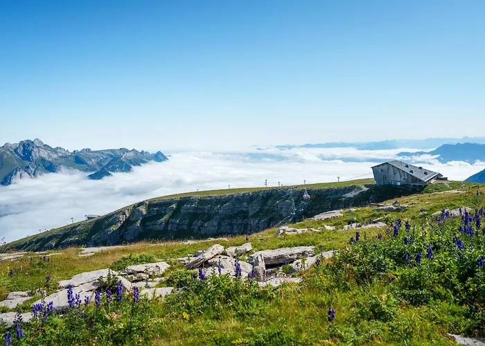 Louisa's Gallery - Stilvolles Ruhiges Alpine Mit Whirlpool & Bergblick - Wandern & - Swiss Alps *